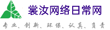崇明裳汝网络日常网